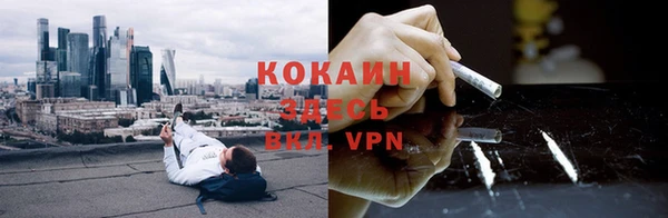 ПСИЛОЦИБИНОВЫЕ ГРИБЫ Лагань
