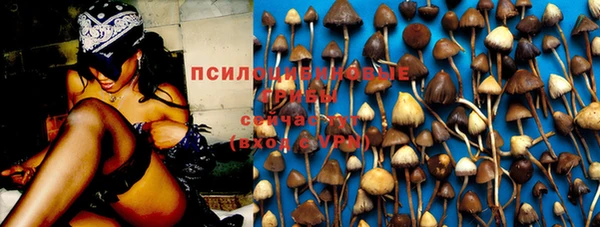ПСИЛОЦИБИНОВЫЕ ГРИБЫ Лагань