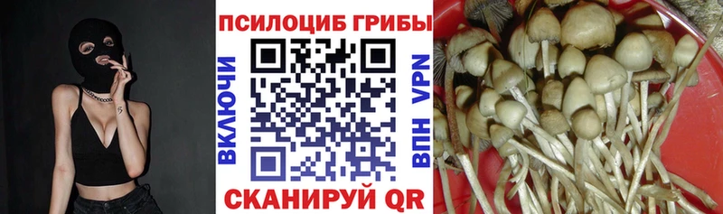 Галлюциногенные грибы мухоморы  Медвежьегорск 